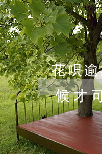 花唄逾期多久可以漲額度(花唄逾期了什么時候才可以重新有額度)
