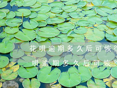 花唄逾期多久后可恢復(fù)正常使用（花唄逾期多久后可恢復(fù)）