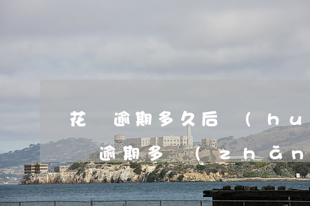 花唄逾期多久后會(huì)催收(支付寶花唄逾期多長(zhǎng)時(shí)間會(huì)第三方催收)