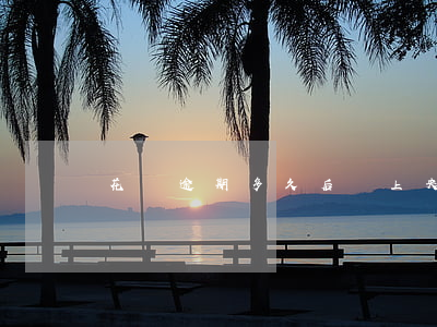 花唄逾期多久后會上央行征信