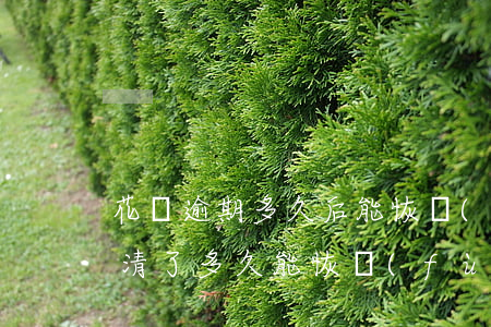 花唄逾期多久后能恢復(fù)(花唄逾期還清了多久能恢復(fù)之前的額度嗎)