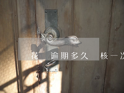 花唄逾期多久審核一次(花唄審核要多久)
