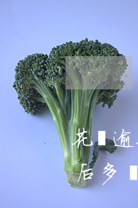 花唄逾期多久就不能使用(花唄逾期停止使用后多長時間可以繼續(xù)用)