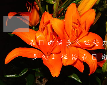 花唄逾期多久征信才恢復(fù)(花唄逾期多久上征信?花唄逾期幾天上征信)
