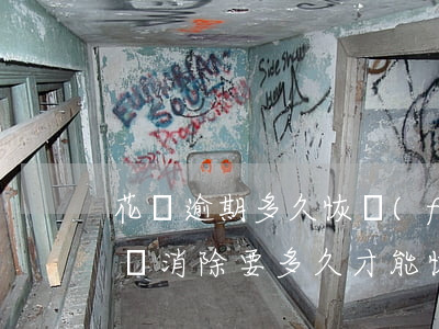 花唄逾期多久恢復(fù)花唄(花唄逾期記錄消除要多久才能恢復(fù)信用)