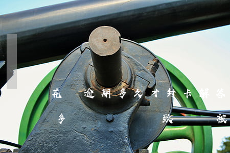 花唄逾期多久才封卡，解答你的疑惑：花唄逾期多長時間會導致賬戶被封？