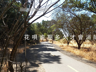 花唄逾期多久才會消除