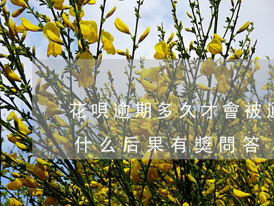 花唄逾期多久才會被通知(花唄逾期幾天會有什么后果?,有獎問答)