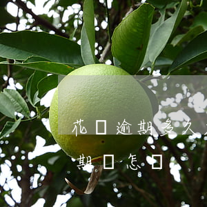 花唄逾期多久才算嚴重(支付寶花唄長時間逾期會怎樣)