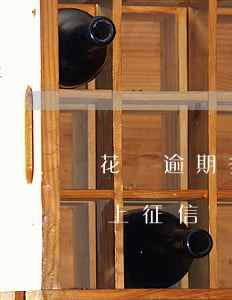 花唄逾期多久才能上征信(花唄逾期多久才能上征信)