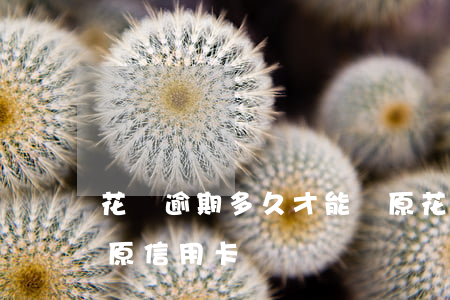 花唄逾期多久才能復原 花唄逾期多久才能復原信用卡