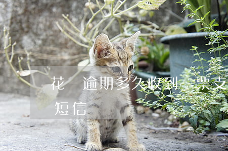 花唄逾期多久收到傳票(支付寶花唄收到逾期短信)