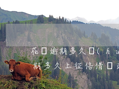 花唄逾期多久會(huì)上征信啊(花唄逾期多久上征信?借唄逾期幾天上征信)