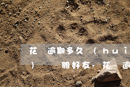 花唄逾期多久會(huì)打電話(huà)給親朋好友-花唄逾期多久會(huì)打電話(huà)給親朋好友呢