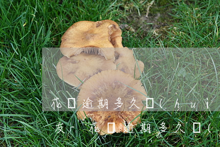 花唄逾期多久會(huì)打電話給親朋好友-花唄逾期多久會(huì)打電話給親朋好友呢
