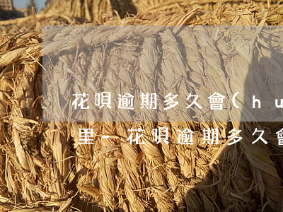 花唄逾期多久會(huì)打電話給通訊錄里-花唄逾期多久會(huì)打電話給通訊錄里的人