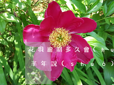 花唄逾期多久會(huì)找上門(花唄逾期半年說(shuō)要上門了解情況是真的嗎)
