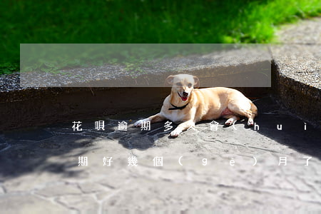 花唄逾期多久會(huì)接到通知(花唄逾期好幾個(gè)月了發(fā)短信說(shuō)要起訴是真的嗎)