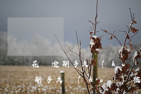 花唄逾期多久會(huì)被扣分呢(花唄逾期多久會(huì)被扣分呢)