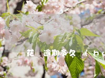 花唄逾期多久會(huì)通訊錄
