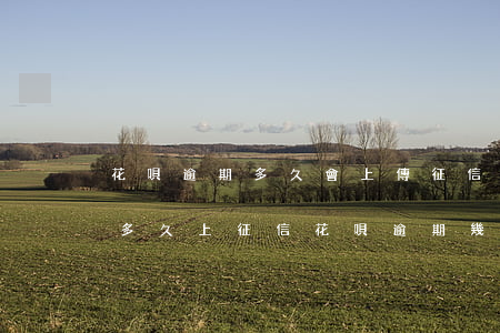 花唄逾期多久會上傳征信(2020花唄逾期多久上征信?花唄逾期幾天上征信)