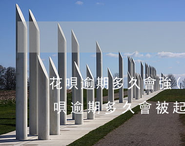 花唄逾期多久會強(qiáng)行扣款(花唄逾期多久會被起訴?花唄逾期怎么辦)