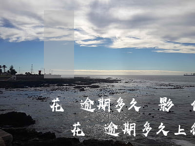 花唄逾期多久會影響信用(花唄逾期有什么影響?花唄逾期多久上征信)