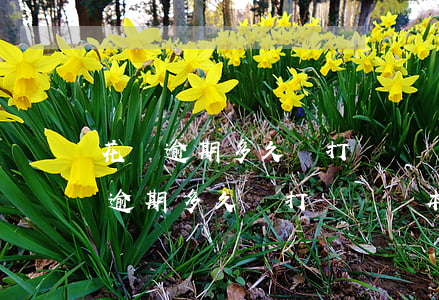 花唄逾期多久會打電話給本人和家人-花唄逾期多久會打電話給本人和家人嗎?