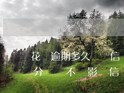 花唄逾期多久會損信譽度(支付寶花唄逾期幾分鐘會不會影響信譽)