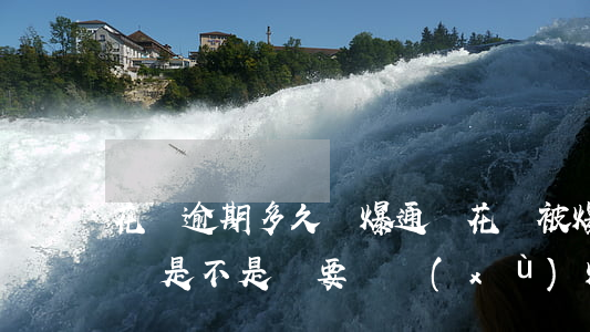花唄逾期多久會爆通訊(花唄被爆了通訊錄不還是不是還要繼續(xù)爆)
