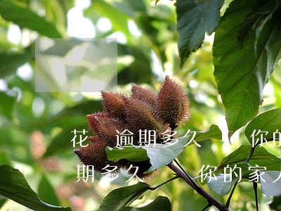 花唄逾期多久會給你的家人打電話-花唄逾期多久會給你的家人打電話催收