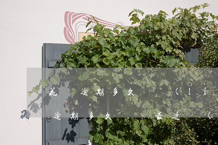 花唄逾期多久會聯(lián)系別人(花唄逾期多久會給最近聯(lián)系人打電話嗎)