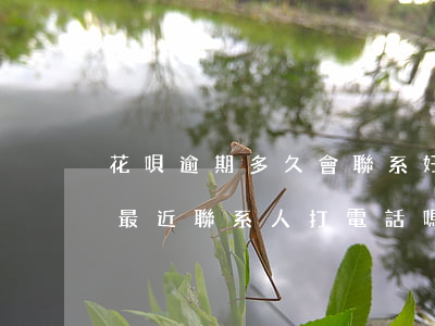 花唄逾期多久會聯系好友(花唄逾期多久會給最近聯系人打電話嗎)