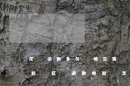 花唄逾期多久會被立案嗎(花唄逾期多久會被起訴?花唄逾期被起訴怎么辦)