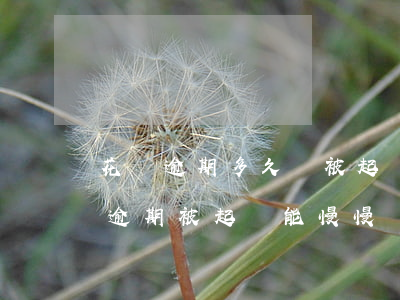 花唄逾期多久會被起訴?花唄逾期怎么辦（花唄逾期被起訴能慢慢還嗎）