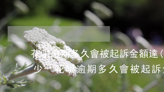 花唄逾期多久會被起訴,金額達(dá)到多少?-花唄逾期多久會被起訴,金額達(dá)到多少可以起訴