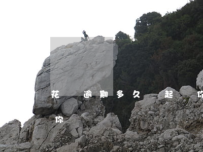 花唄逾期多久會起訴你（花唄逾期多久會起訴你）