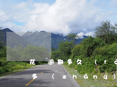 花唄逾期多久發(fā)傳票(花唄最多逾期多長(zhǎng)時(shí)間會(huì)被下發(fā)法院傳票)