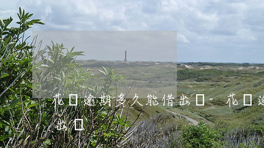 花唄逾期多久能借出來-花唄逾期多久能借出來