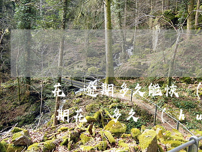 花唄逾期多久能恢復(fù)征信(支付寶逾期花唄多久會(huì)上征信多久可以消除)