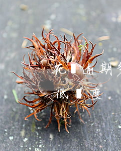 花唄逾期多久能還清(花唄逾期多久能還清最低額度)