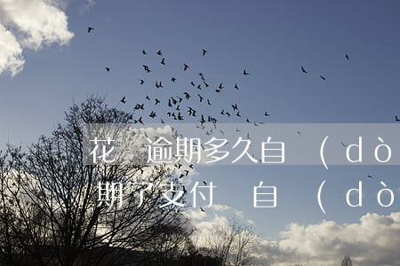 花唄逾期多久自動(dòng)扣款(花唄逾期了支付寶自動(dòng)扣)