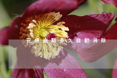 花唄逾期多久自動消除