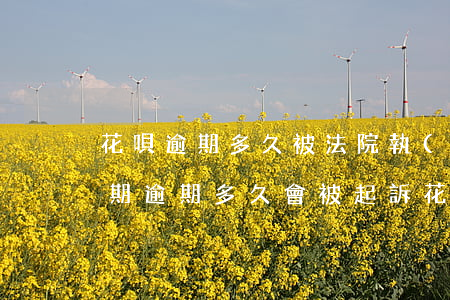 花唄逾期多久被法院執(zhí)行(花唄分期逾期多久會被起訴?花唄逾期被起訴怎么辦)