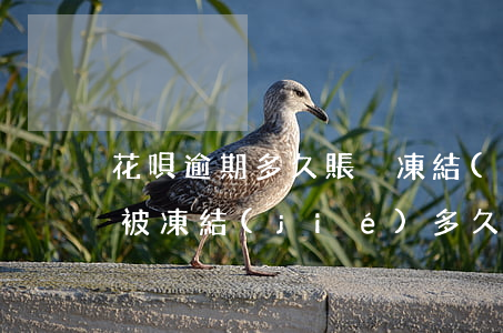 花唄逾期多久賬戶凍結(jié)(花唄賬戶被凍結(jié),多久能用)
