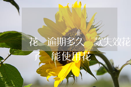 花唄逾期多久還款失效(花唄逾期很久后還款了還能使用花唄嗎?)