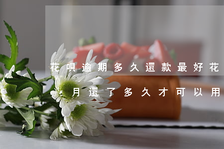 花唄逾期多久還款最好(花唄逾期幾個(gè)月還了多久才可以用花唄)