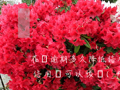 花唄逾期多久降低信用(花唄逾期7個月以后信用還可以恢復(fù)嗎)