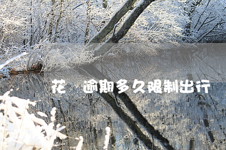 花唄逾期多久限制出行