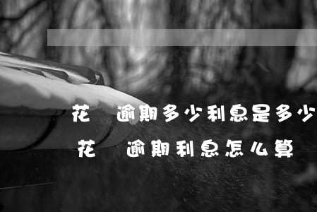 花唄逾期多少利息是多少(支付寶螞蟻借唄和花唄逾期利息怎么算)